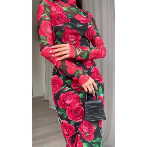 Attractive Long Sleeve Rose Dress in Retro E-Girl Style