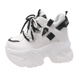 47960481956172|47960481988940|47960482021708|47960482054476|47960482087244|47960482120012|47960482218316